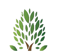 Sir M.V. School of Architecture